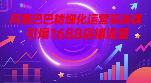 阿里巴巴精细化运营实战课,引爆1688店铺流量-三零资源