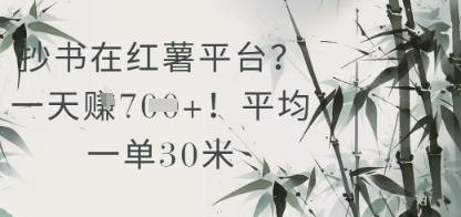 抄书在小红薯平台?平均一单30米,一天收益几张!-三零资源