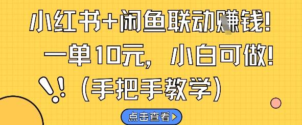 小红书+闲鱼联动挣钱，一单10元，小白可做-三零资源