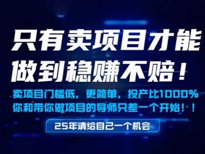 只有卖项目才能做到稳挣不赔,门槛低,更简单,你也可以年入百个W【揭秘】-三零资源