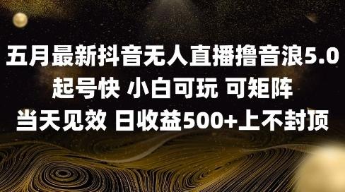 2025五月最新无人直播撸音浪单日产出5张+实操教程【揭秘】-三零资源