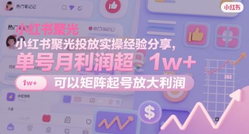 小红书聚光投放实操经验分享,单号月利润超1w+,可以矩阵起号放大利润-三零资源