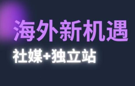 2025出海新机遇(社媒+独立站),海外新机遇,实现独立站的高效运营与出海-三零资源