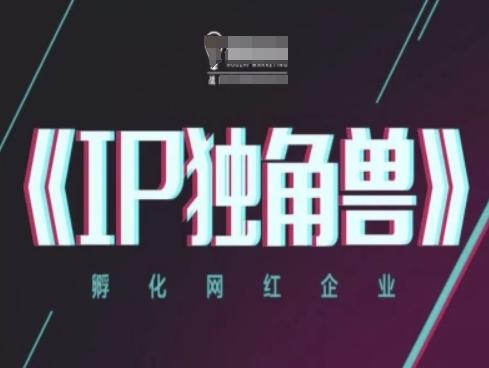 IP独角兽，孵化网红企业，ip教程-三零资源