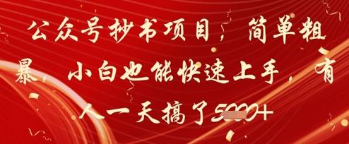 公众号抄书项目,简单粗暴,小白也能快速上手,有人一天搞了1k+-三零资源