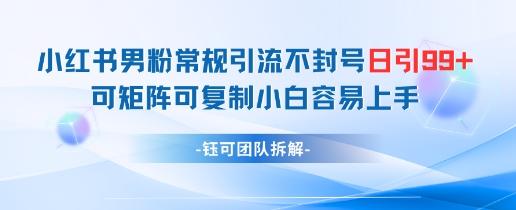 小红书男粉常规引流不封号日引99+变现简单 可矩阵可复制小白容易上手-三零资源