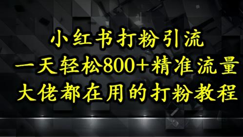 小红书打粉引流,一天轻松500+精准流量,大佬都在用的打粉教程-三零资源