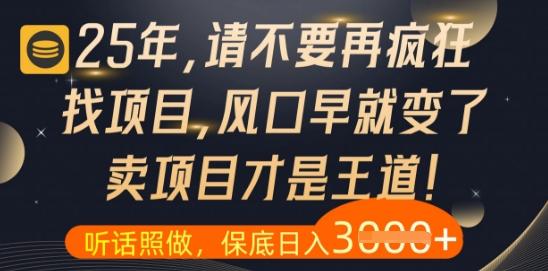 什么?25年你还在疯狂找项目做,醒醒吧,看完这些你全都懂了【揭秘】-三零资源
