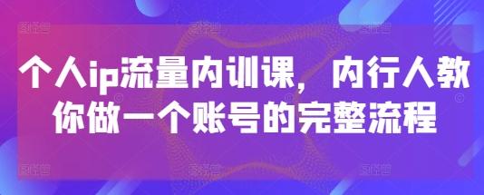 个人ip流量内训课,内行人教你做一个账号的完整流程-三零资源