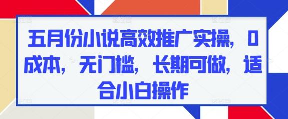五月份小说高效推广实操,0成本,无门槛,长期可做,适合小白操作-三零资源