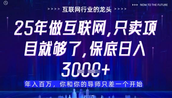 什么!25年你还在找项目做?风口早就变了,卖项目才是稳挣不赔【揭秘】-三零资源