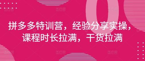 拼多多特训营,经验分享实操,课程时长拉满,干货拉满(更新25年4月)-三零资源