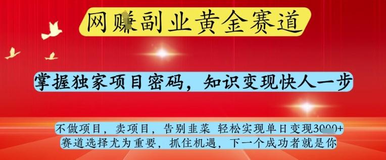 网创副业黄全赛道,掌握独家项目密码,知识变现快人一步,告别韭菜轻松实现单日变现1k+【揭秘】-三零资源
