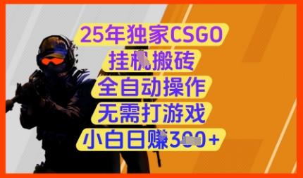 25年独家CSGO挂G搬砖，全自动操作，无需打游戏，小白日入3张+【揭秘】-三零资源