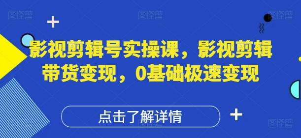 影视剪辑号实操课,影视剪辑带货变现,0基础极速变现-三零资源