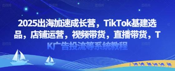 2025出海加速成长营,TikTok基建选品,店铺运营,视频带货,直播带货,TK广告投流等系统教程-三零资源
