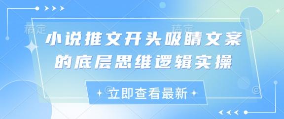 小说推文开头吸睛文案的底层思维逻辑实操-三零资源