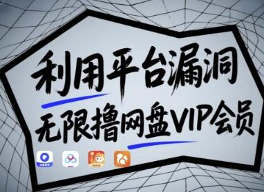利用平台漏洞,无限撸网盘VIP会员,用户亲测有效!【漏洞原理+操作演示】-三零资源