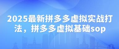 2025最新拼多多虚拟实战打法，拼多多虚拟基础sop-三零资源