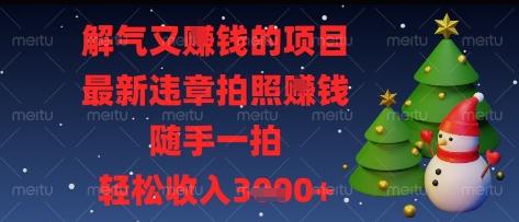 解气又挣钱的项目，最新违章拍照挣钱，随手一拍，轻松收入多张【揭秘】-三零资源