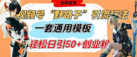 视频号“野路子”玩法,评论区疯狂截流,一套模板单日单号引流50+创业粉-三零资源