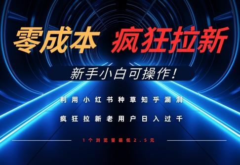 利用小红书种草知乎漏洞，零成本疯狂拉新日入数张，新手小白可操作-三零资源
