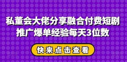 私董会大佬分享融合付费短剧推广爆单经验每天3位数-三零资源