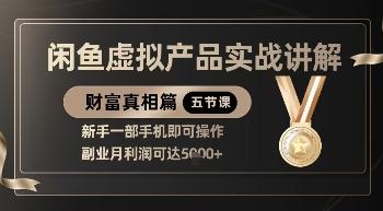 精品!闲鱼虚拟产品实战讲解,新手一部手机即可操作,副业月利润可达5k+-三零资源