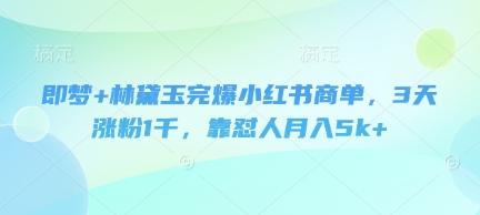 即梦+林黛玉完爆小红书商单,3天涨粉1千,靠怼人月入5k+-三零资源