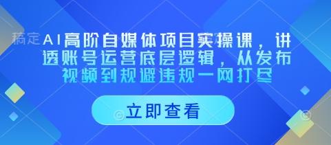 AI高阶自媒体项目实操课,讲透账号运营底层逻辑,从发布视频到规避违规一网打尽-三零资源