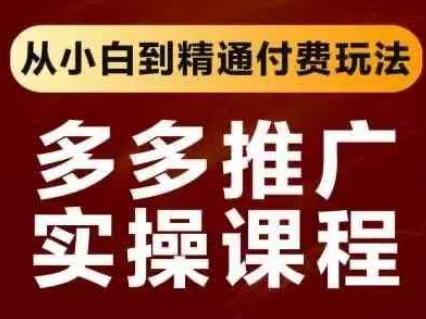 拼多多推广实操课程，从小白到精通付费玩法-三零资源