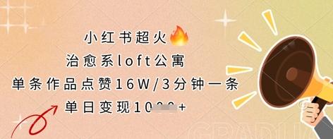 小红书超火的治愈系loft公寓,单条作品点赞16W,3分钟一条,单日变现数张-三零资源