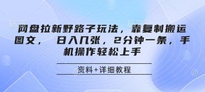 网盘拉新野路子玩法,靠复制搬运图文, 日入几张,2分钟一条,手机操作轻松上手-三零资源