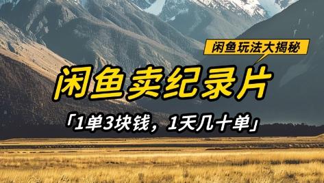 闲鱼卖纪录片1单3块钱,1天几十单,项目稳定有潜力-三零资源