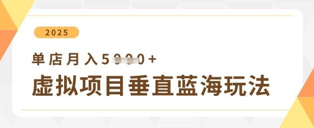 虚拟项目垂直玩法,实现单店月入5k+-三零资源