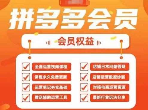 2025拼多多运营实战课,40节全流程教学,覆盖拼多多运营全链路-三零资源