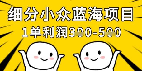 细分小众蓝海项目，一单利润3张，每月收入稳定过1w+-三零资源