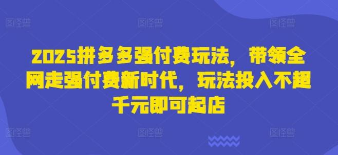 2025拼多多强付费玩法,带领全网走强付费新时代,玩法投入不超千元即可起店-三零资源