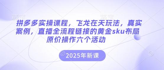拼多多实操课程,飞龙在天玩法,真实案例,直播全流程链接的黄金sku布局原价操作六个活动-三零资源