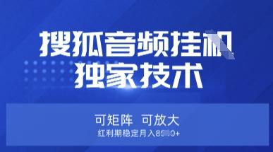 【搜狐音频挂G】独家技术，可矩阵可放大，红利期稳定月入8k【揭秘】-三零资源