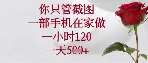 你只管截图,一部手机在家操作,一小时120.一天5张【揭秘】-三零资源