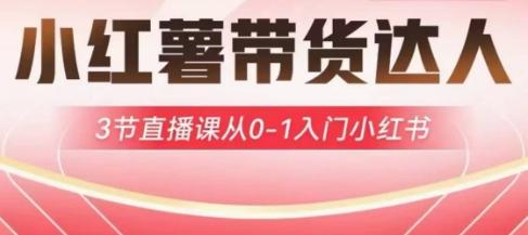 小红薯达人带货启航计划，3节直播课从0-1入门小红书-三零资源