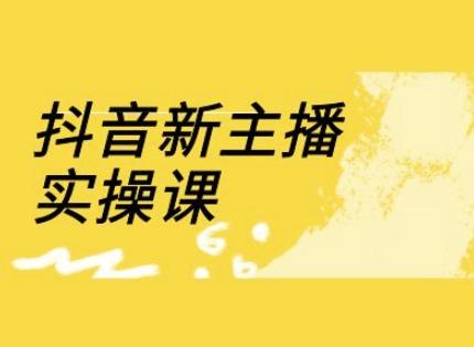 抖音新主播实操课,直播间流量运营线上实操课(18节)-三零资源
