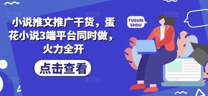 小说推文推广干货,蛋花小说3端平台同时做,火力全开-三零资源