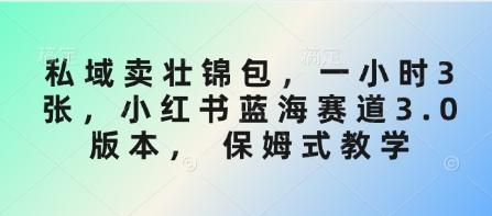 私域卖壮锦包,一小时3张,小红书蓝海赛道3.0版本, 保姆式教学-三零资源