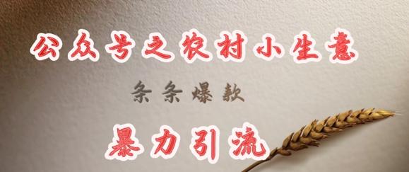 deepseek写农村小项目,条条爆款,暴力引流-三零资源