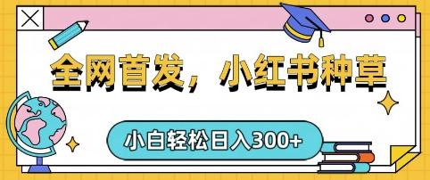 小红书种草,手机项目,日入3张,复制黏贴即可,可矩阵操作,动手不动脑【揭秘】-三零资源