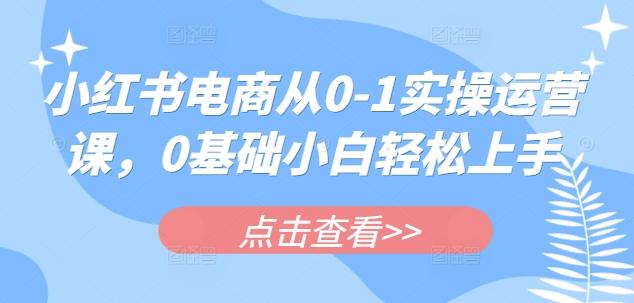 小红书电商从0-1实操运营课,0基础小白轻松上手-三零资源