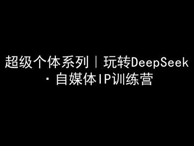超级个体系列,玩转DeepSeek·自媒体IP训练营,deepseek教程-三零资源