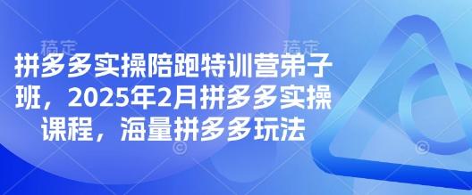 拼多多实操陪跑特训营弟子班,2025年2月拼多多实操课程,海量拼多多玩法-三零资源
